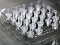 Nu kan du få en PCR-test uden at bestille tid, og PCR-testen vil fremover gælde 96 timer i coronapasset