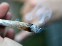 Københavns Kommune inviterer til debatmøde om legalisering af cannabis