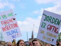Her er københavnernes klimaanbefalinger til politikerne